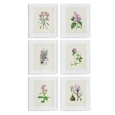 Andel 'Flower Prints' 6 Piece Picture Frame Print Set | Wayfair North America