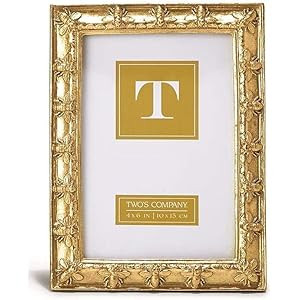 Two's Company Bee-utiful Set of 2 Photo Frames Includes 2 Sizes: 4" x 6" and 5" x 7" (Stands Horizon | Amazon (US)