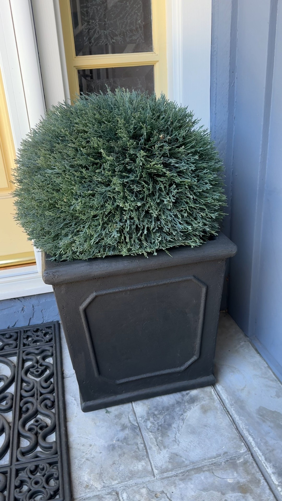 Front porch refresh!! I just purchased new planter pots for my fake topiary balls and some new lanterns. I tried all three sizes but returned the large. It was too big for my front step. 

Pots are from Ballard Design. Lanterns are from Amazon. I’ve had the faux topiaries for years and don’t remember where I bought them but have linked some suggestions  

I was so excited I had to share before it’s all done! More to come! 

#LTKHome