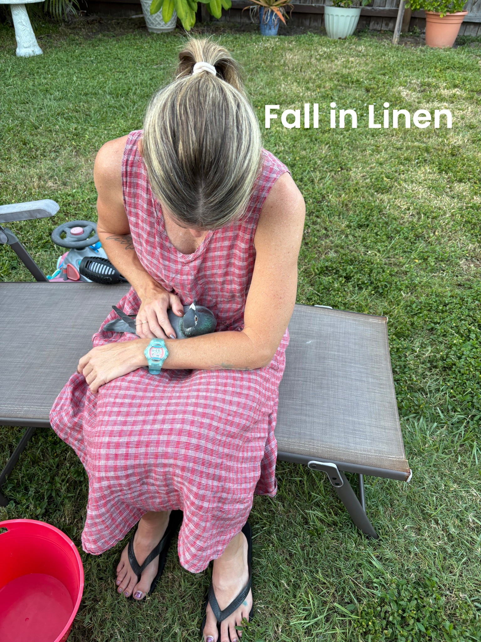 For linen dresses, I love Flax! My pigeon agrees.

#LTKSeasonal #LTKOver40 #LTKFindsUnder50