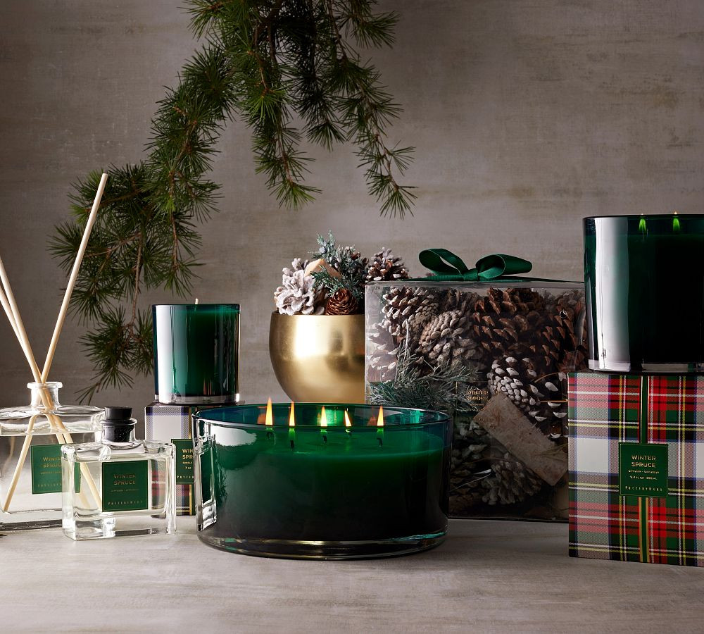 Winter Spruce Scent Collection | Pottery Barn (US)
