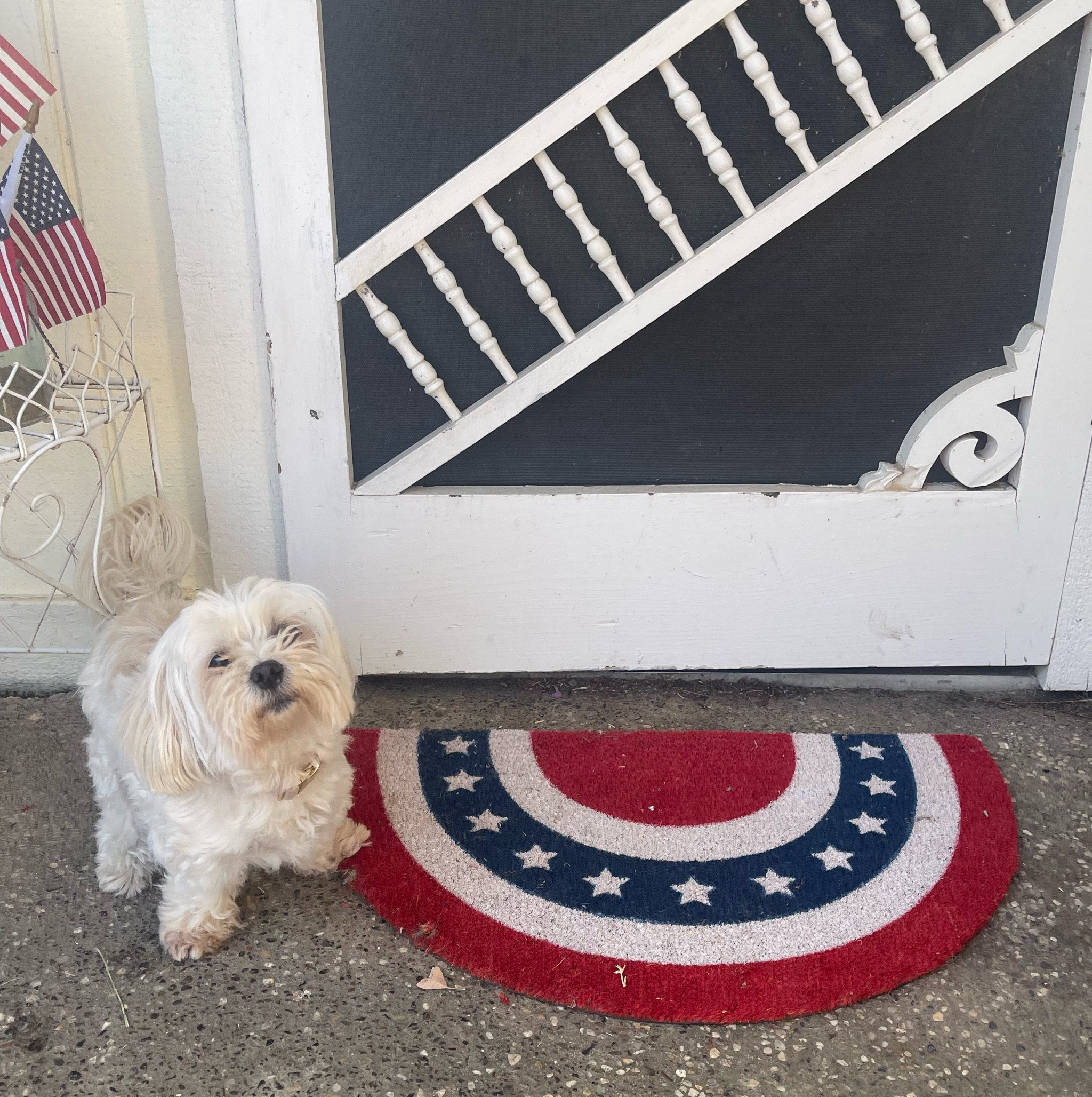 4th of July doormat. July Fourth doormat. Bunting doormat. Americana doormat. Red white and blue doormat. Stars and Stripes doormat. Vintage inspired Independence Day doormat. Amazon home. Amazon Fourth of July doormat. Amazon doormat. ❤️🤍💙🇺🇸

#LTKFind #LTKSeasonal #LTKhome