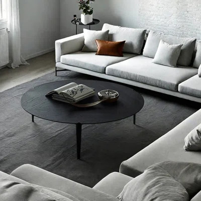Simple Style Black Round Coffee Table | Wayfair North America