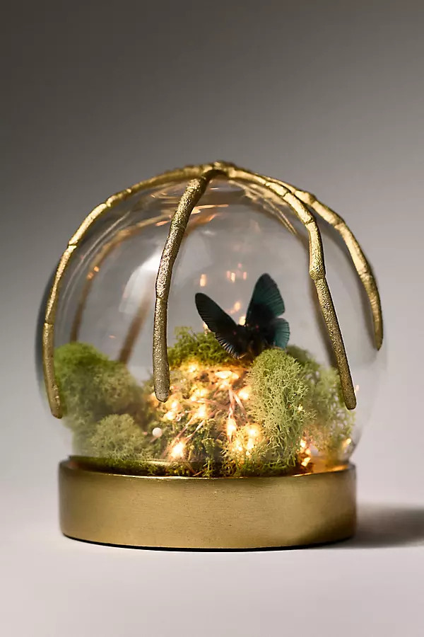 Spider Cloche Terrarium | Anthropologie (US)