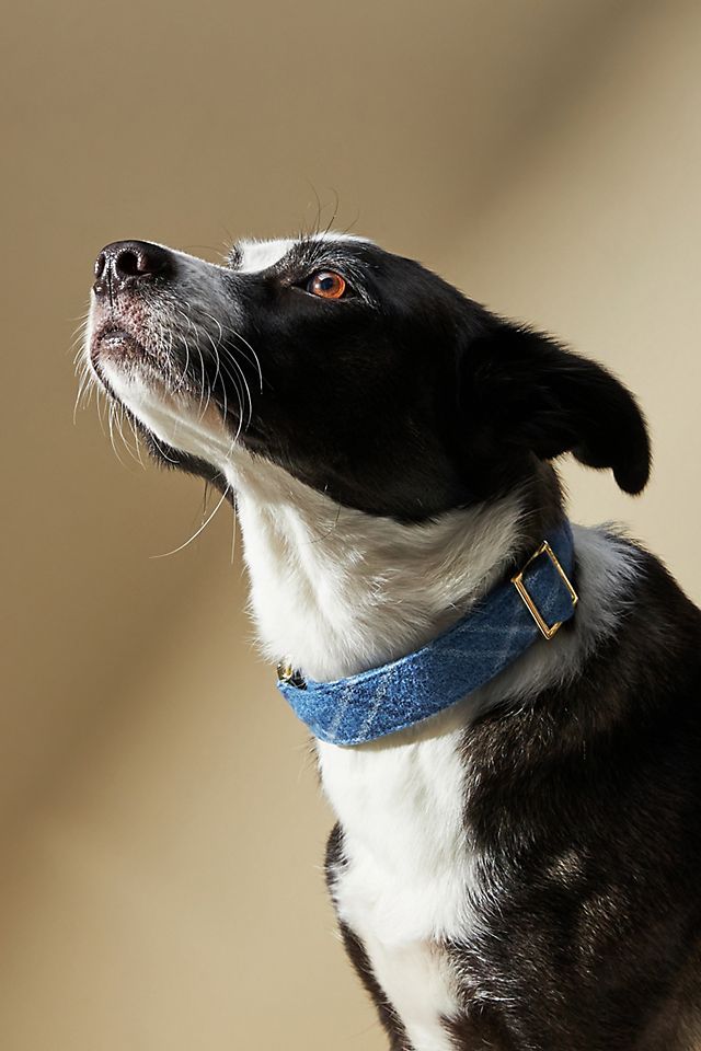 The Foggy Dog Flannel Collar | Anthropologie (US)