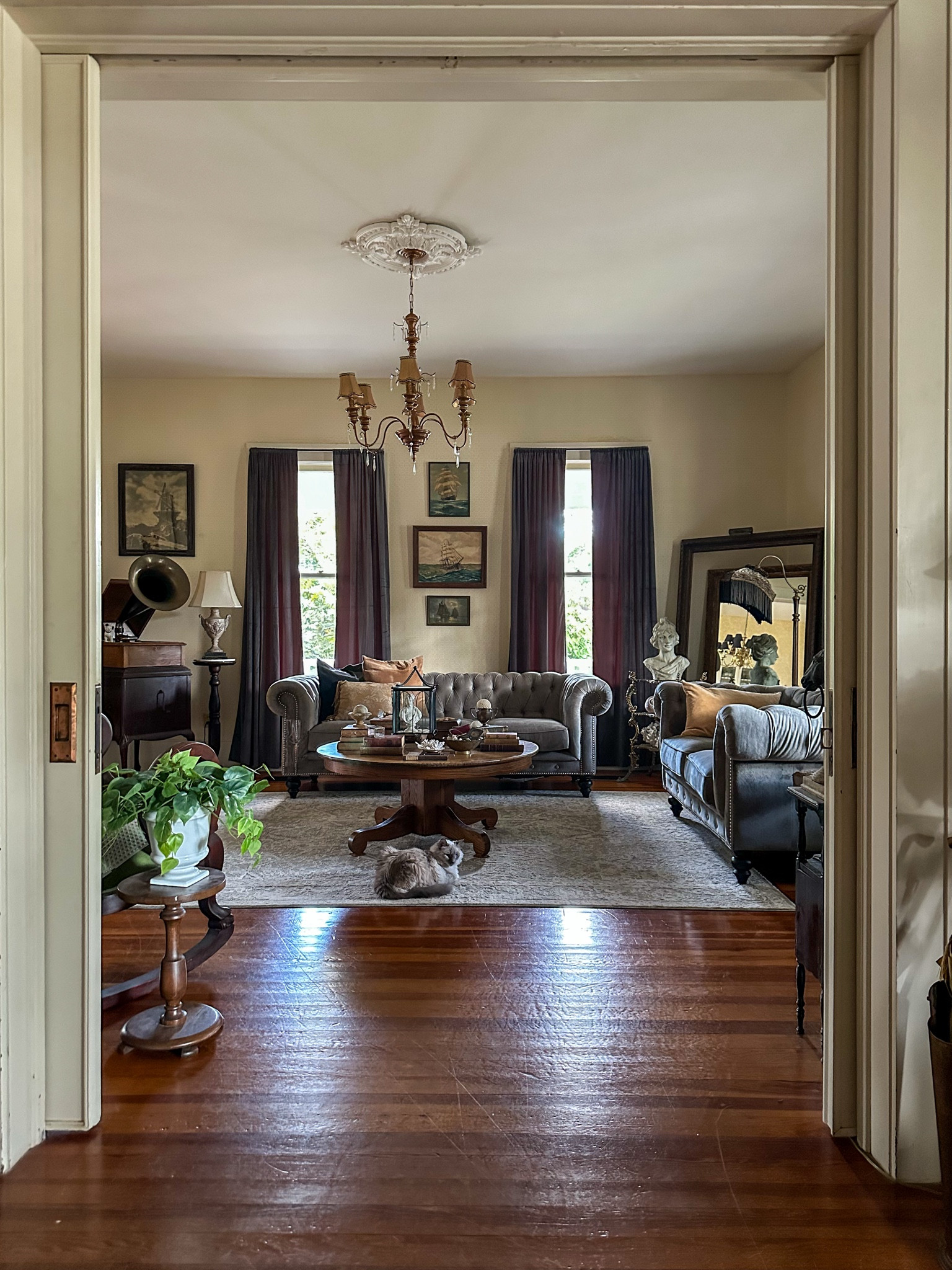 I love the cozy richness of these velvet couches paired with the dark velvet curtains.  This is our favorite room to gather and be together as a family  

#LTKHome #LTKFindsUnder100 #LTKFindsUnder50
