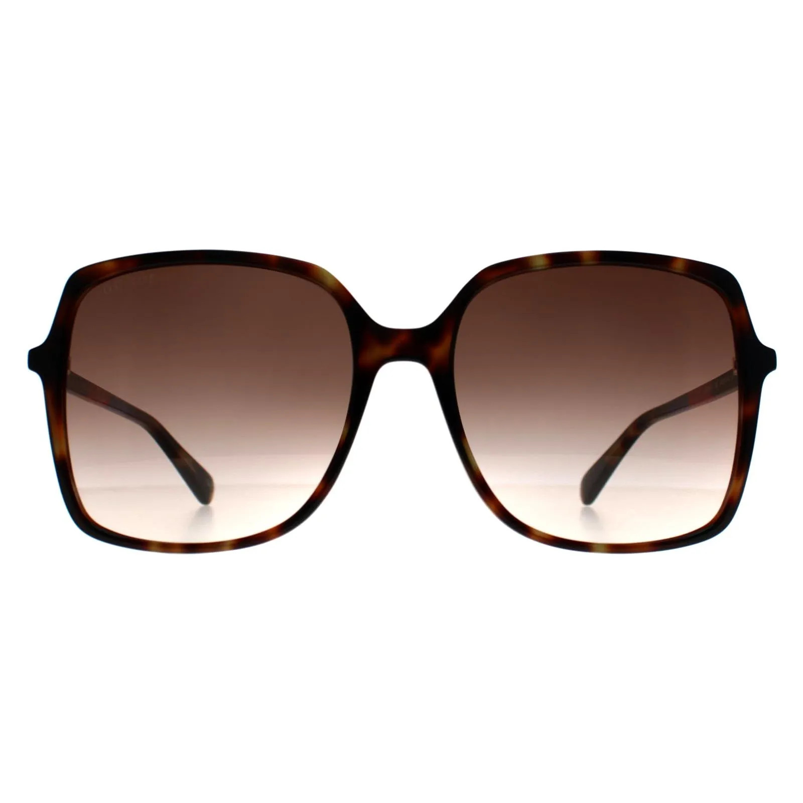 Gucci Square Havana Brown Gradient GG0544S | Debenhams | Debenhams UK