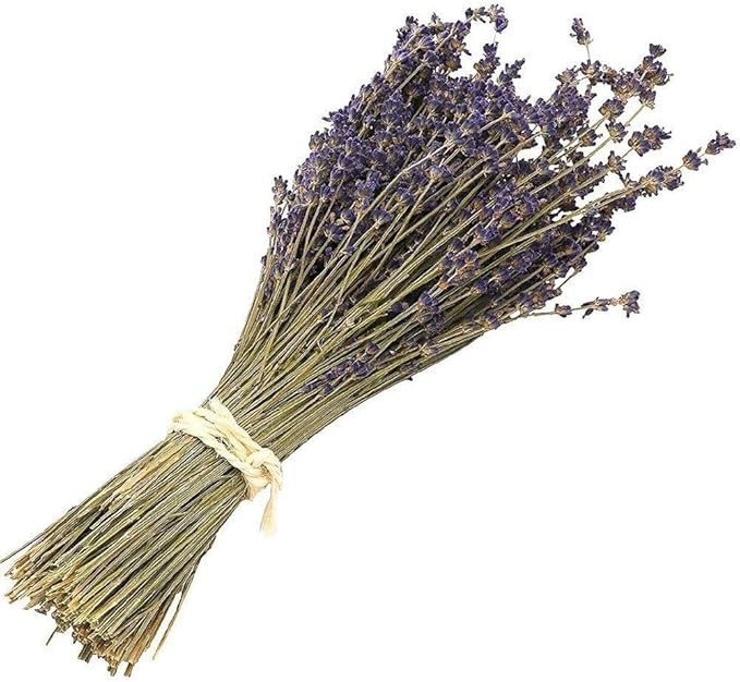 Natural Dried Lavender Bundles - Freshly Harvested Lavender Bunch Royal Velvet Decorative Flowers... | Amazon (US)