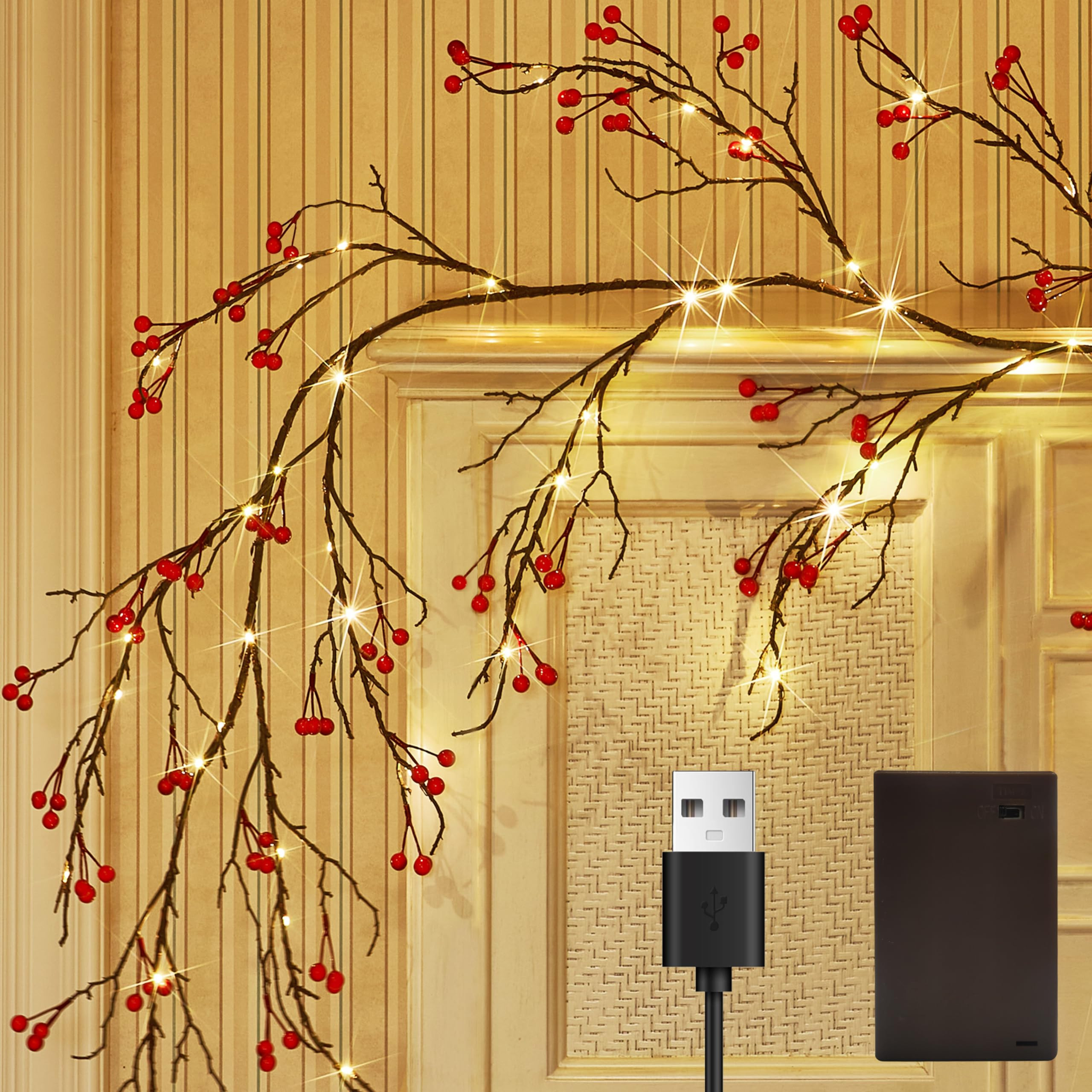 Fudios Lighted Red Berry Garland with Timer 120 LED 6FT Battery Operated USB Plug in,Lit Christma... | Amazon (US)