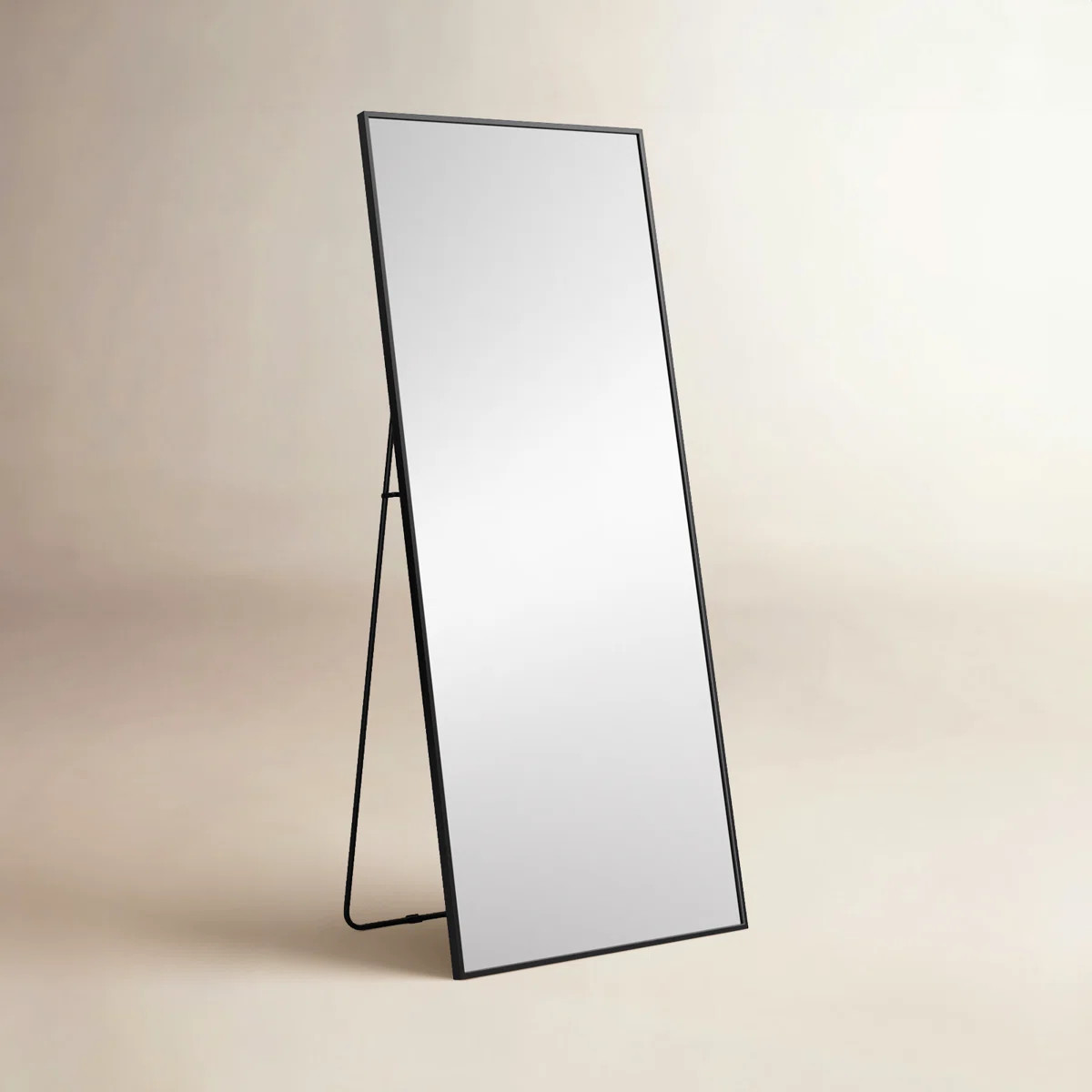 Sabine Metal Rectangle Floor Mirror | Wayfair North America