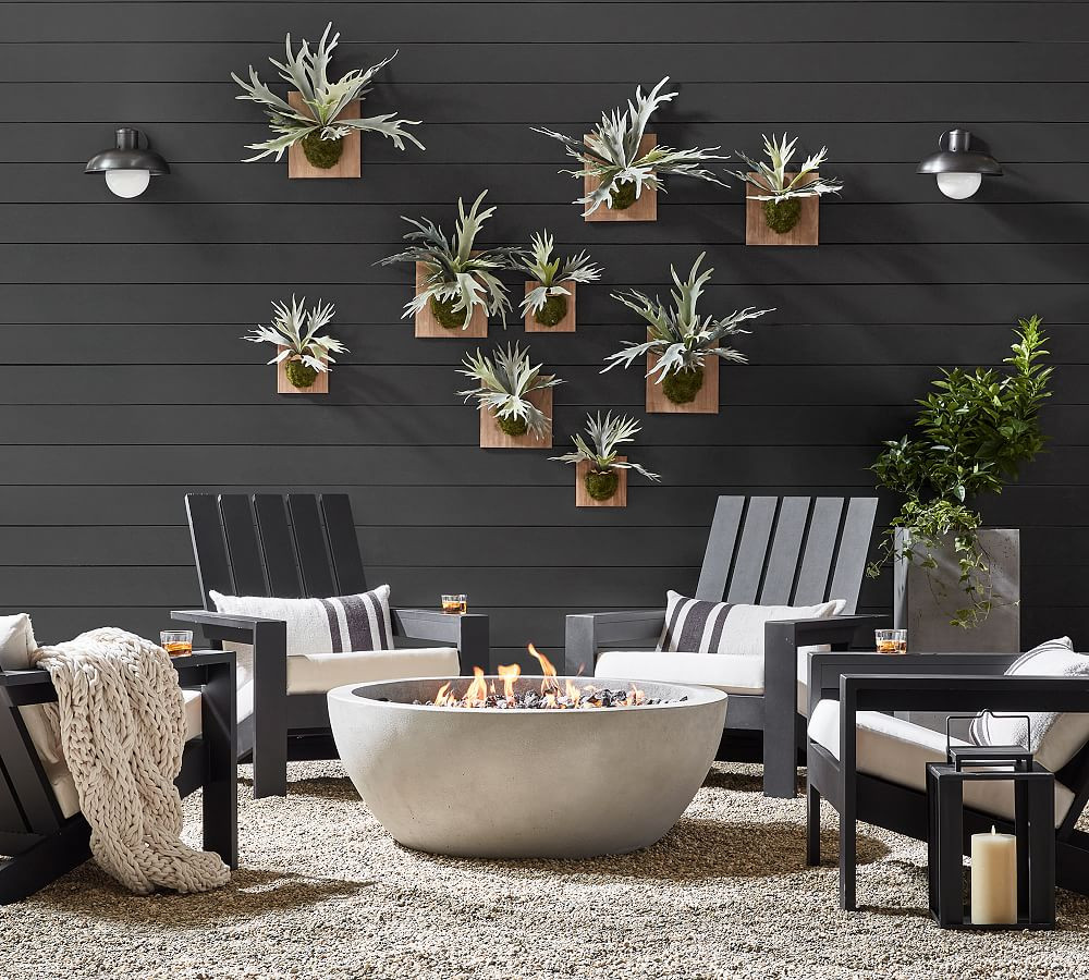 Faux Mounted Staghorn Ferns | Pottery Barn (US)