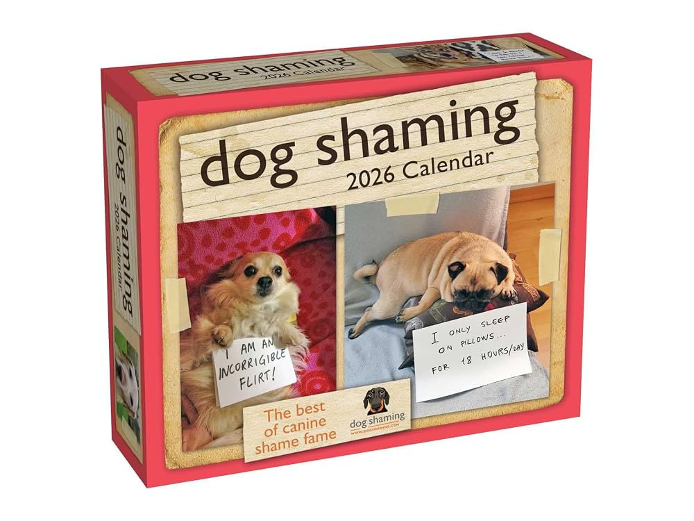 Dog Shaming 2026 Day-to-Day Calendar | Amazon (US)