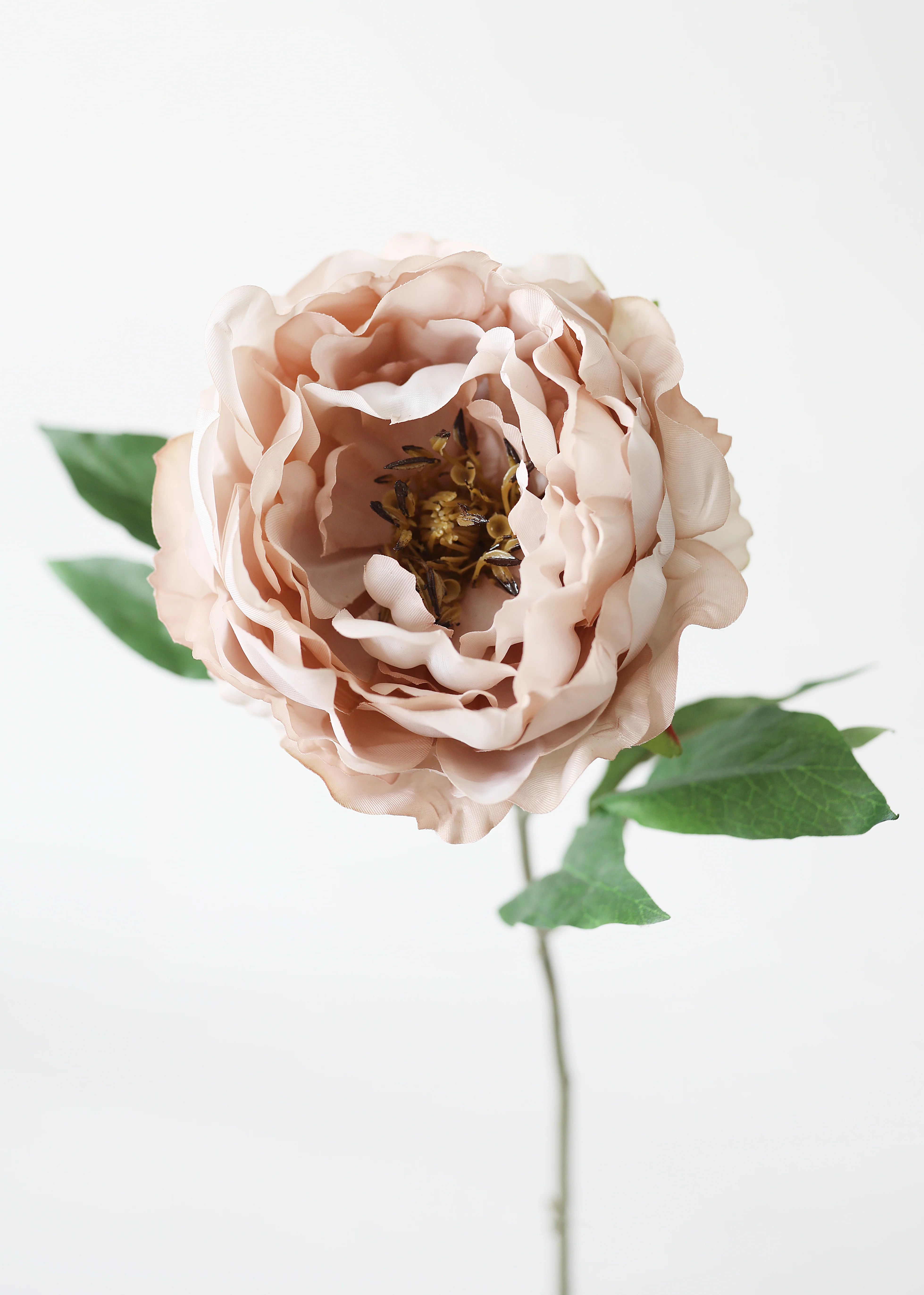 Artificial Peony Flower in Taupe Mauve - 18.5" | Afloral