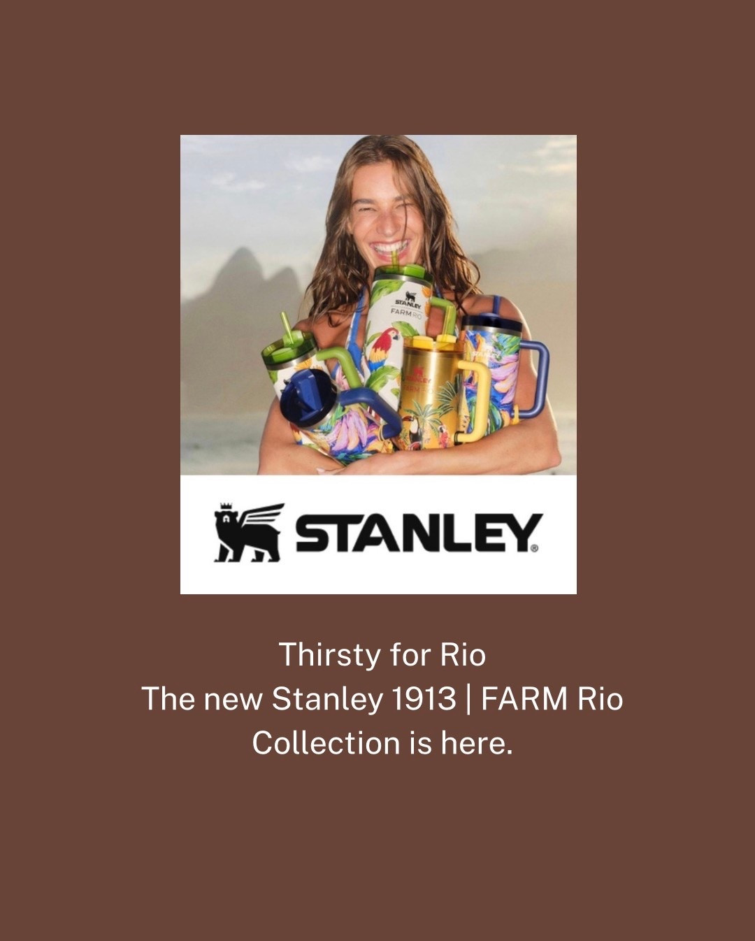 Thirsty for Rio
The new Stanley 1913 | FARM Rio Collection is here.

#LTKdayinmylife #LTKHome #LTKmomlife