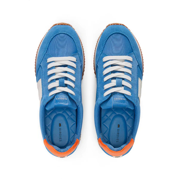 the roadrunner | BIRDIES