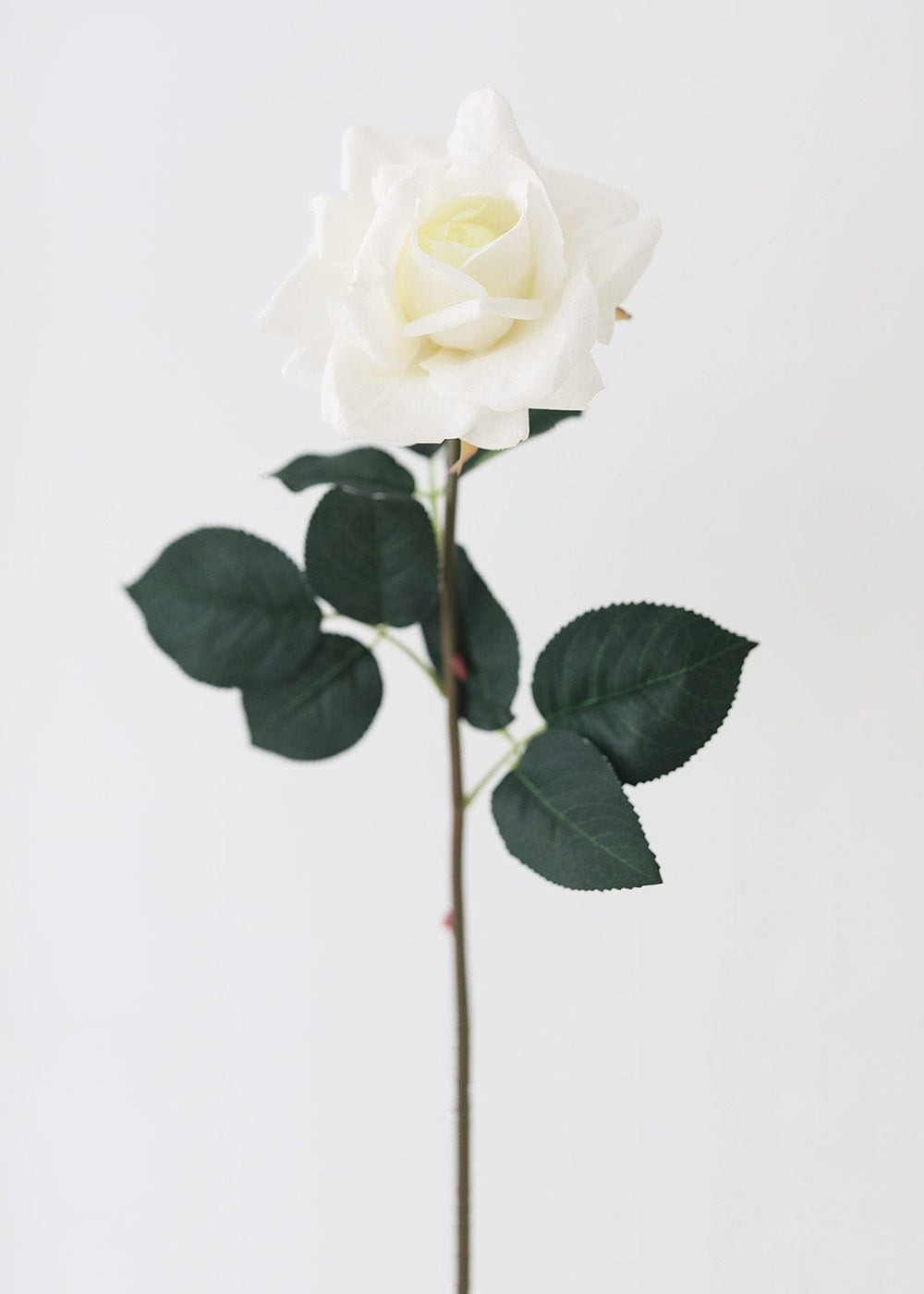 Cream Real Touch Rose Fake Flower - 20.5 | Afloral (US)