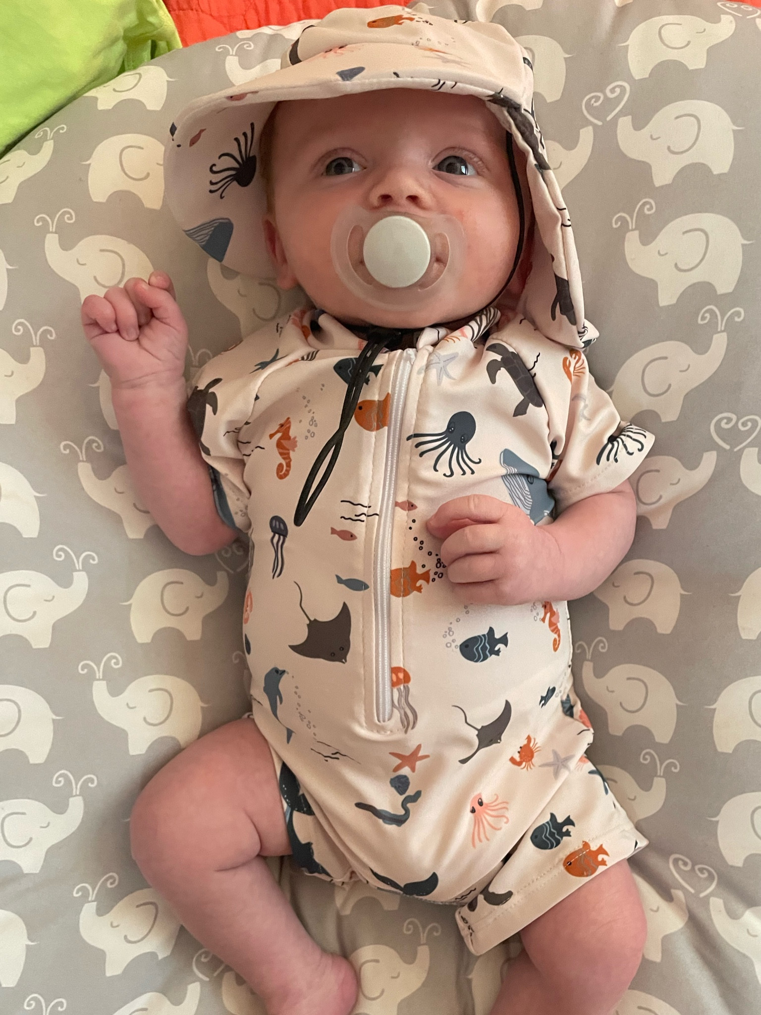Baby boy swimsuit and matching hat

#LTKSwim #LTKBaby #LTKSummerSales