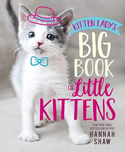 Kitten Lady's Big Book of Little Kittens | Amazon (US)