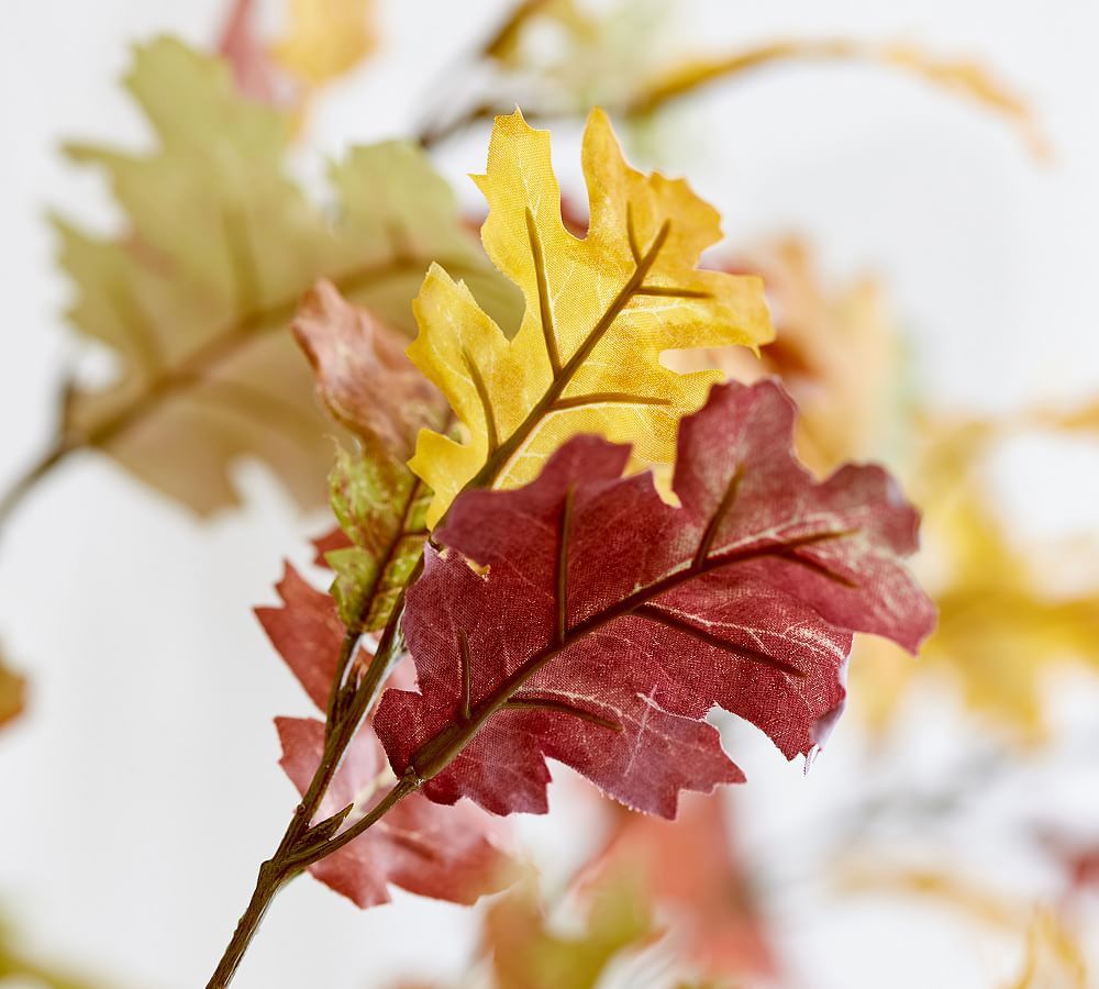 Faux Autumn Oak Branch | Pottery Barn (US)