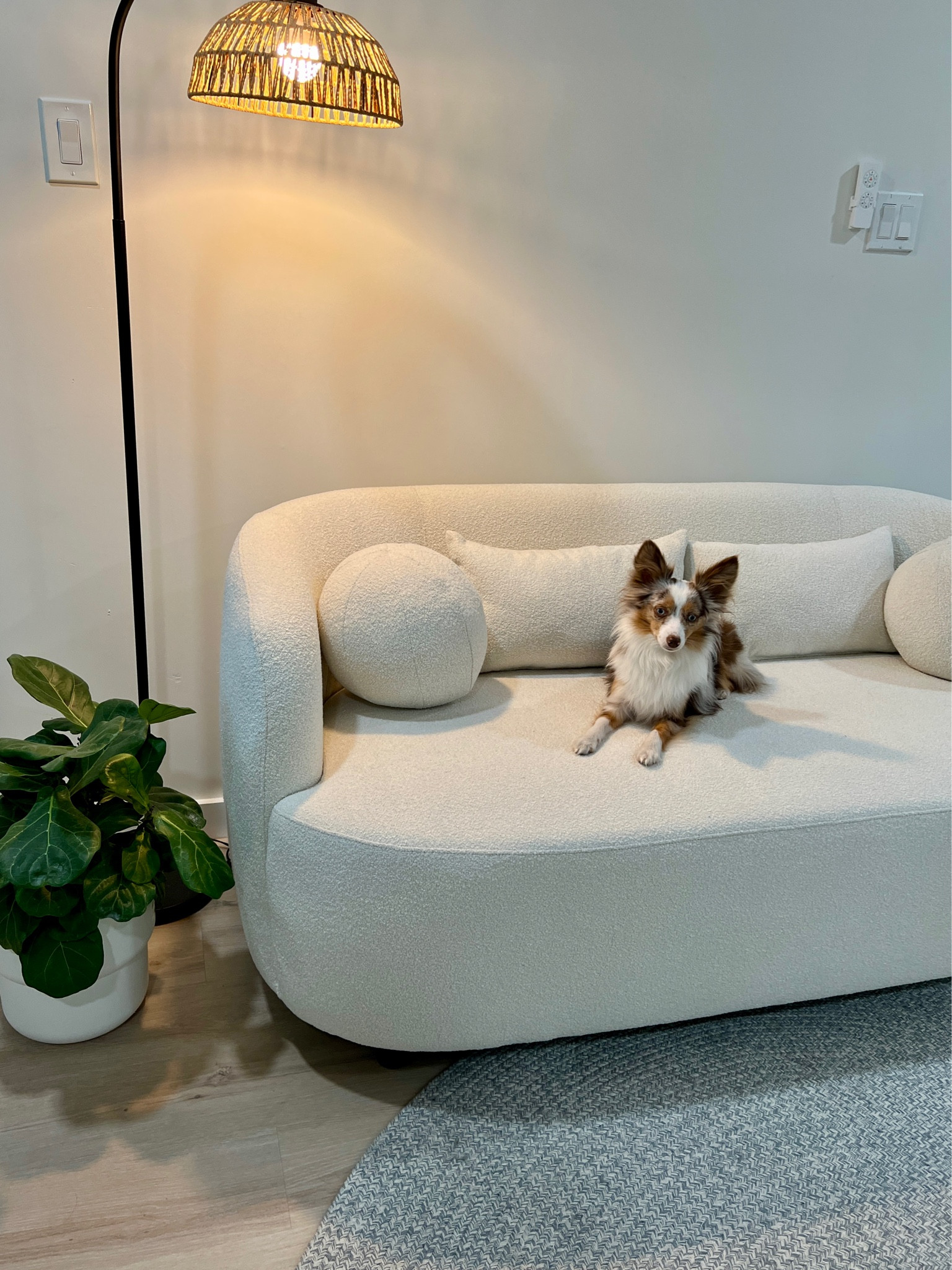 
I've always dreamed of a space that truly feels like me. Thanks to @wayfair, my vision became a reality ✨ Their pieces are not only beautiful but also incredibly well built and you will still have leftover shopping money. Shop my WayFair picks now👇🏻@wayfair #wayfair #wayfairpartner 

#LTKHome