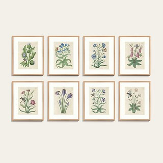 Book of Flower Studies Framed Print with Giclee Art & Natural Wood Frame | Ballard Designs, Inc.