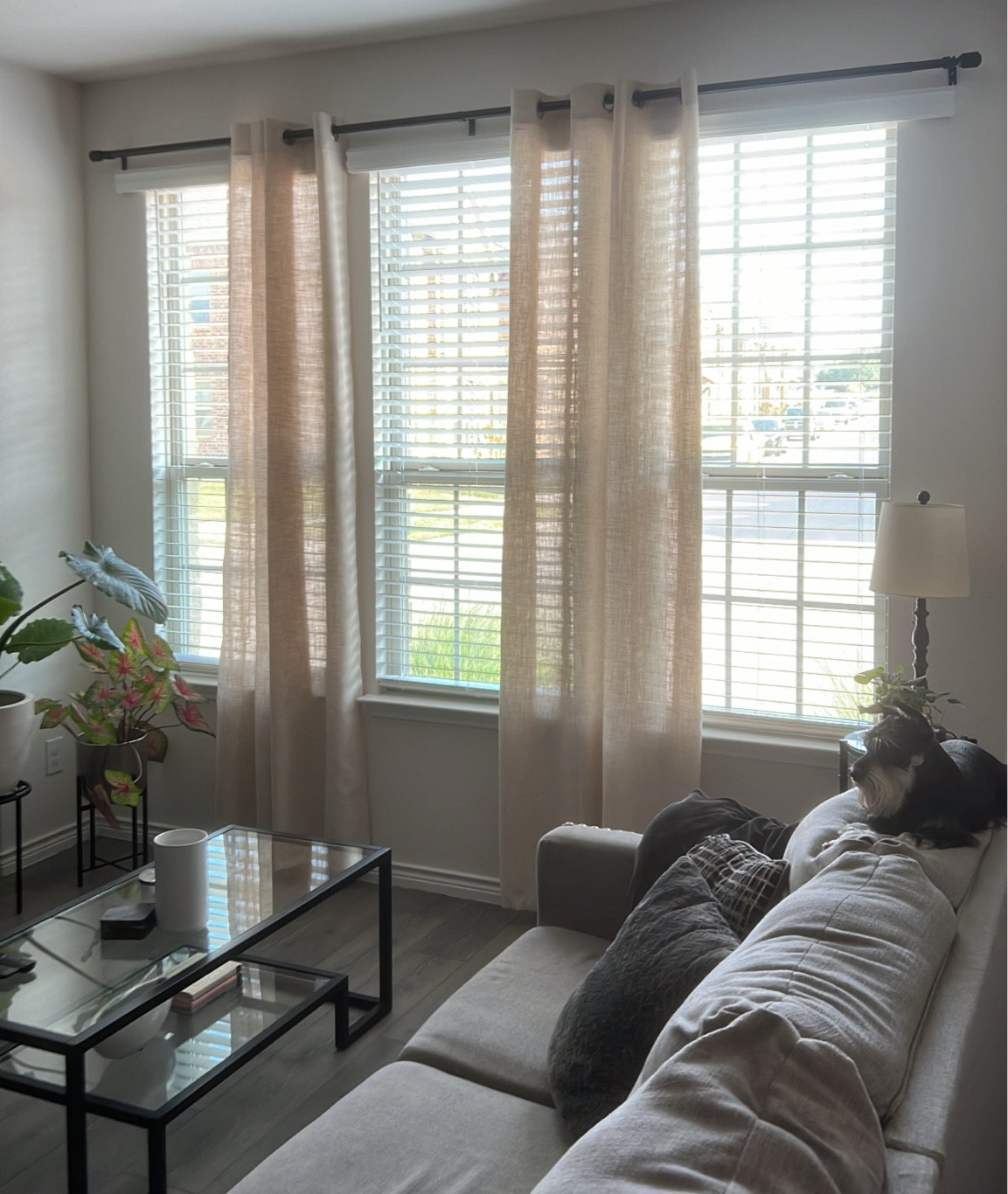 My new beautiful curtains 
