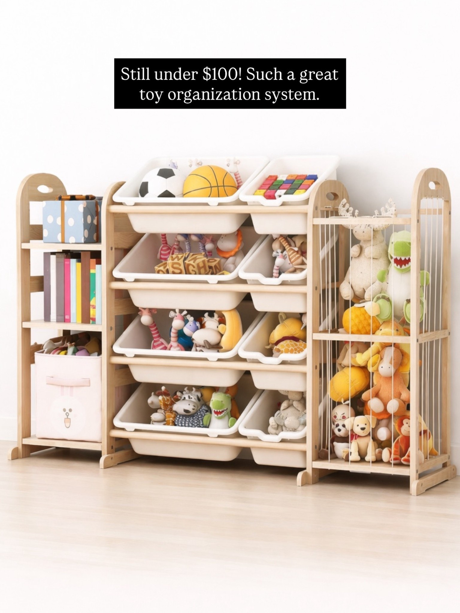 This toy organization system is such a great price.