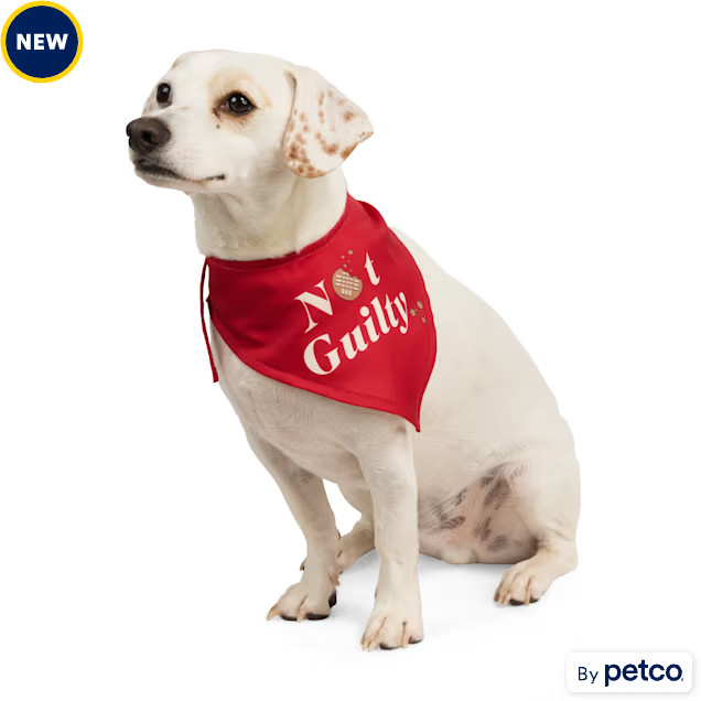 Merry Makings Not Guilty Pet Bandana, Large/X-Large | Petco