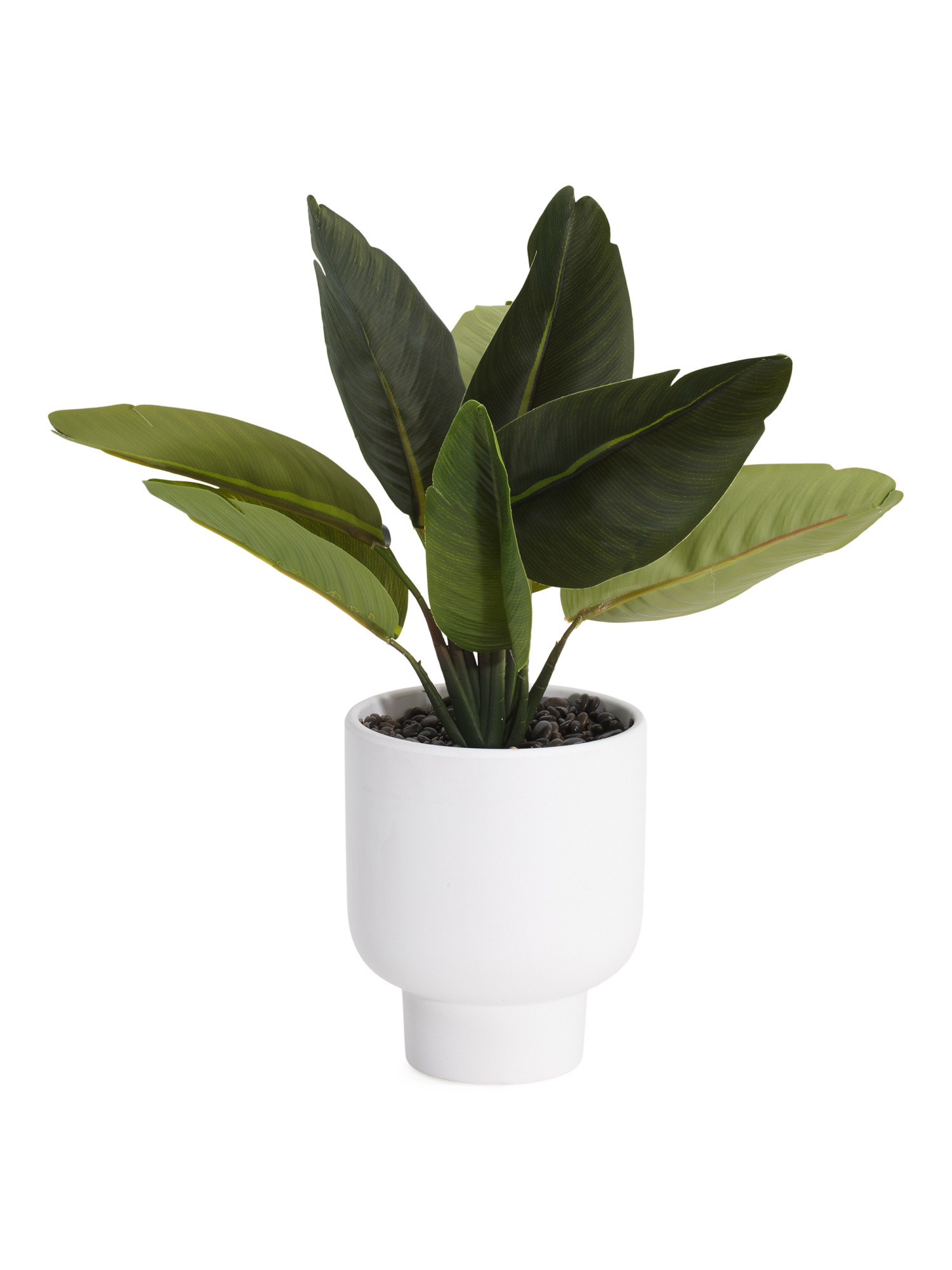 15in Traveler In Pedestal Pot | Home Essentials | Marshalls | Marshalls