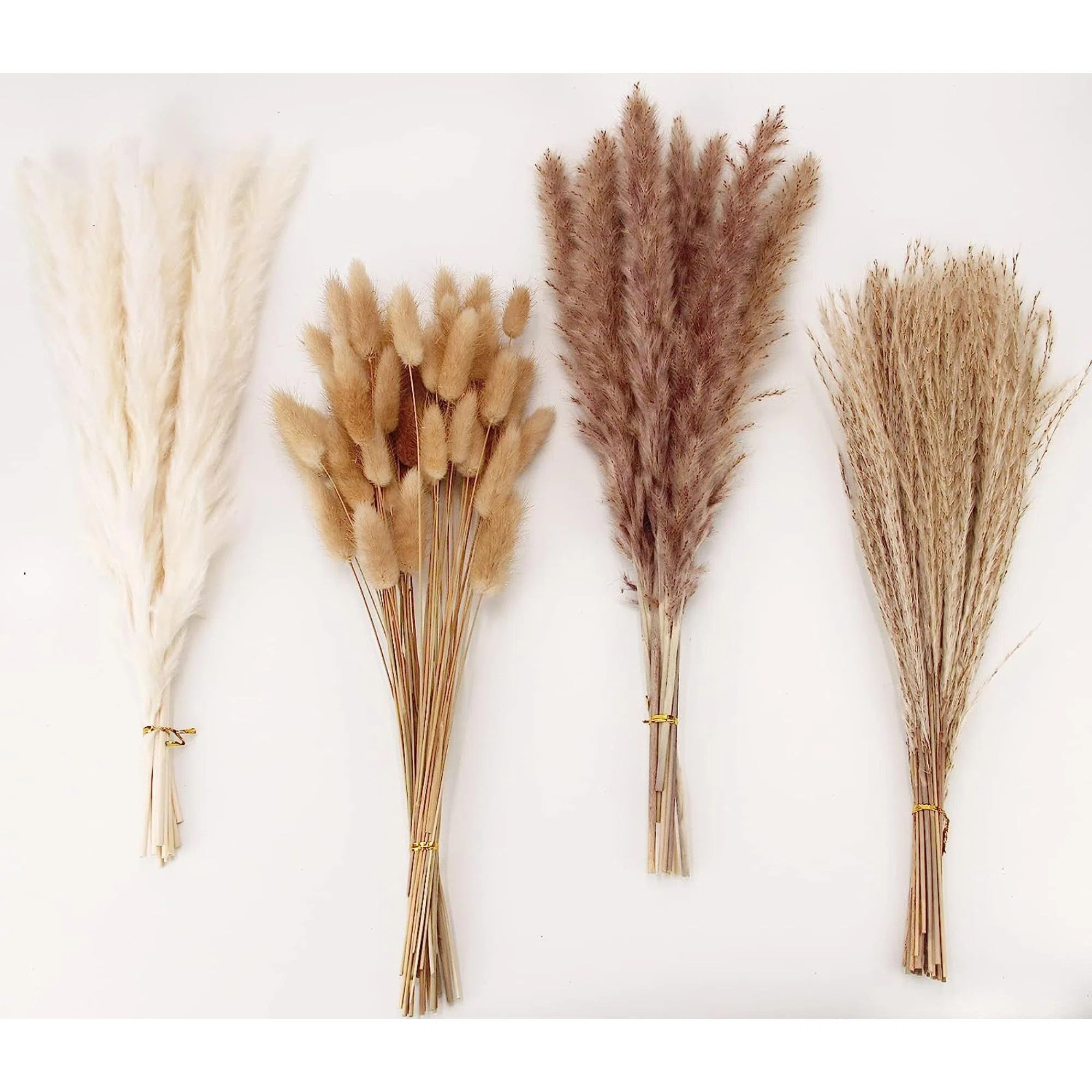 Dried Pampas Grass Floral Arrangements | Birch Lane