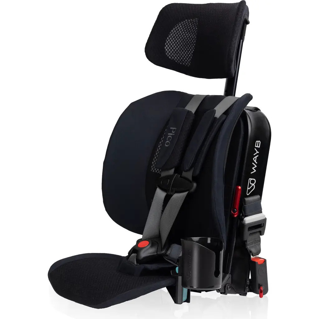 WAYB Pico Car Seat Cup Holder in Onyx at Nordstrom | Nordstrom