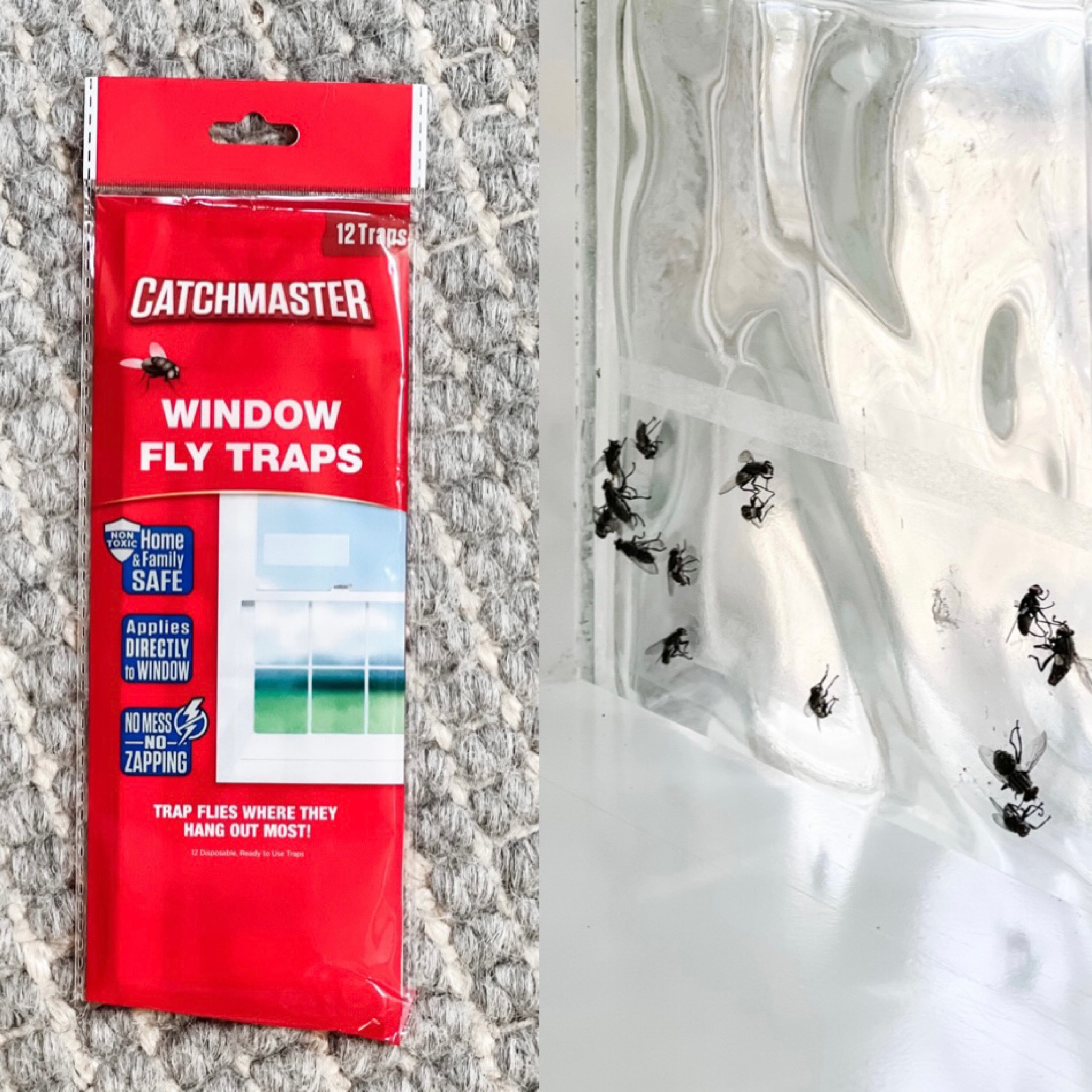 Ugh; so many insect pest control posts lately, but I know that we can’t be the only ones dealing with them so I want to share what’s worked for us! These fly traps have been so effective in snagging these pesky buggers! 🪰🪰🪰

#LTKhome