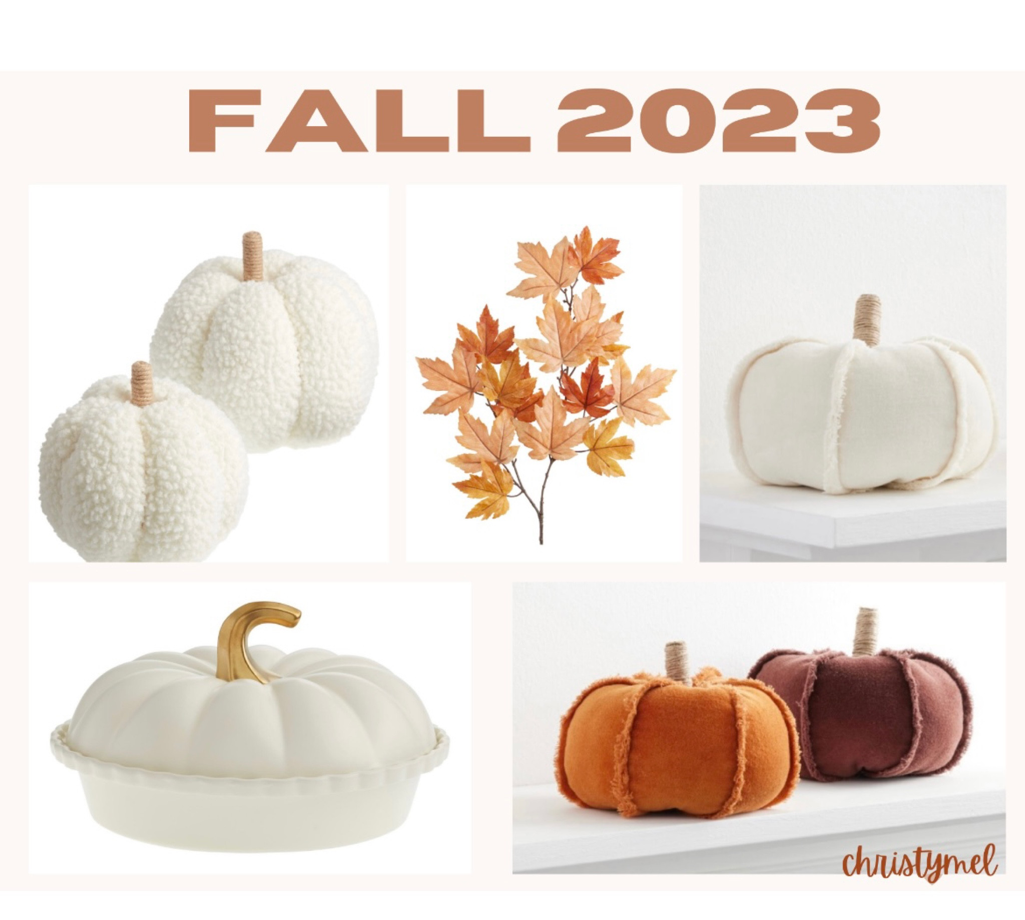 Fall 2023 Home Decor Favorites 

Neutral Fall decor , white fall decor , modern fall decor 

#LTKhome #LTKSeasonal #LTKunder50
