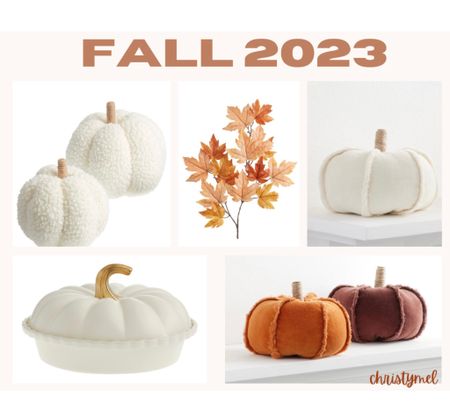 Fall 2023 Home Decor Favorites 

Neutral Fall decor , white fall decor , modern fall decor 

#LTKhome #LTKSeasonal #LTKunder50