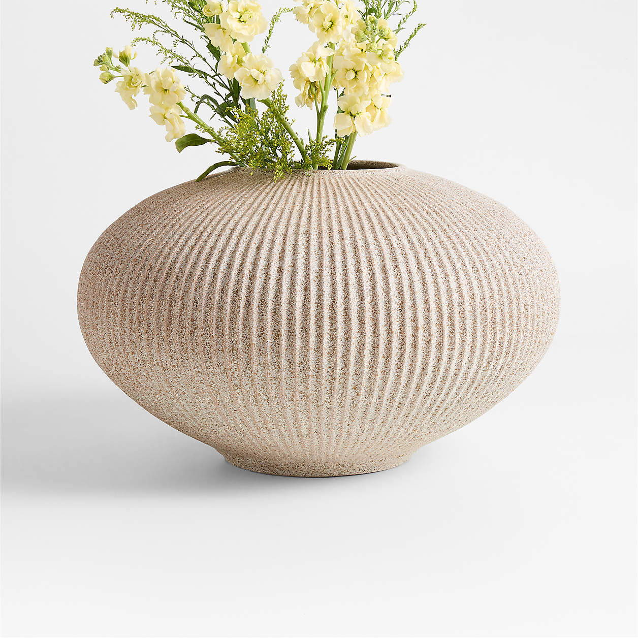 Blanca Round Beige Ribbed Ceramic Vase 12" by Brigette Romanek + Reviews | Crate & Barrel | Crate & Barrel