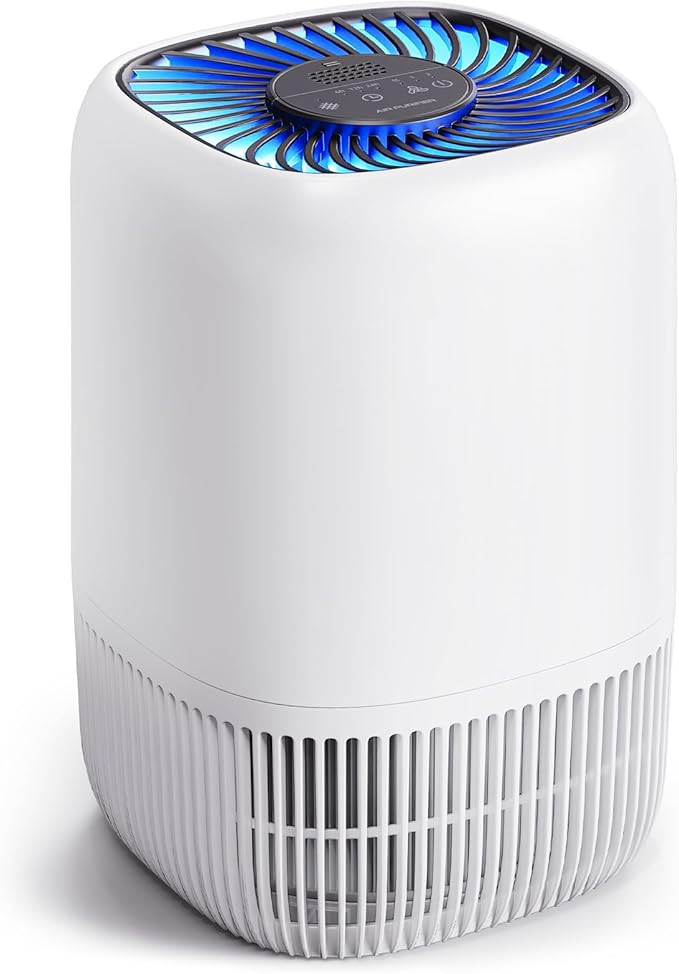 Air Purifiers for Home with High Efficiency Filter Up to 1076 Ft² for Pet Hair, Odors, Pollen, S... | Amazon (US)