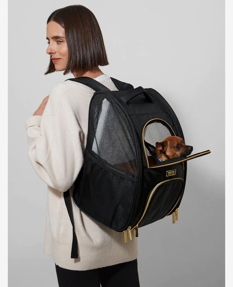 Pet Carrier Backpack | Kenneth Cole