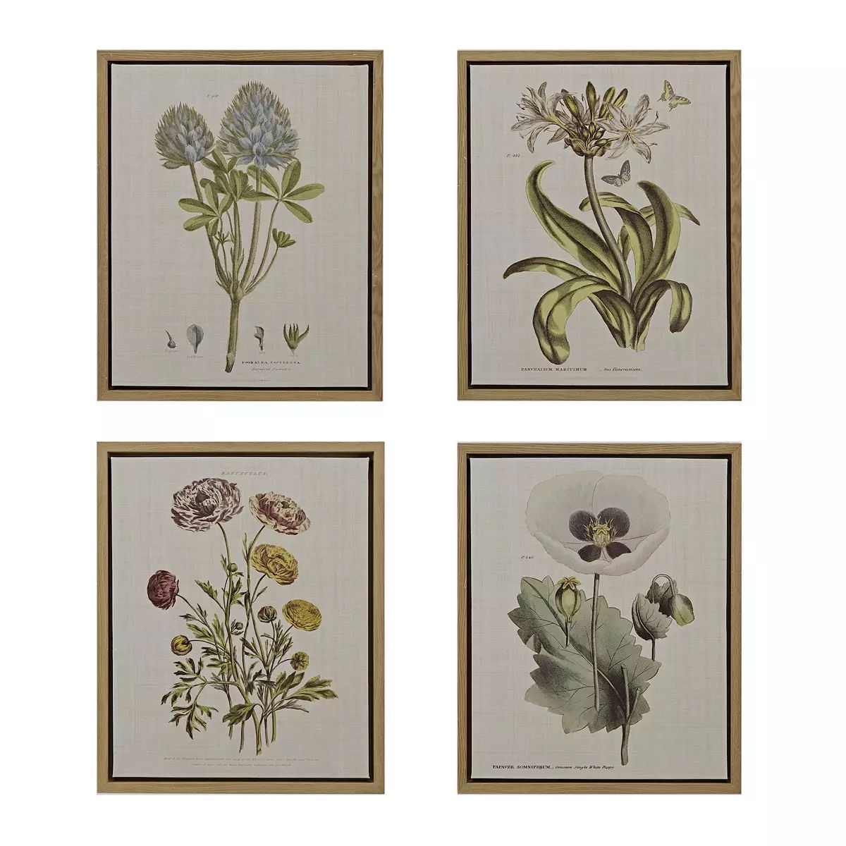 Martha Stewart Herbal Botany Framed Canvas Wall Art 4-piece Set | Kohl's