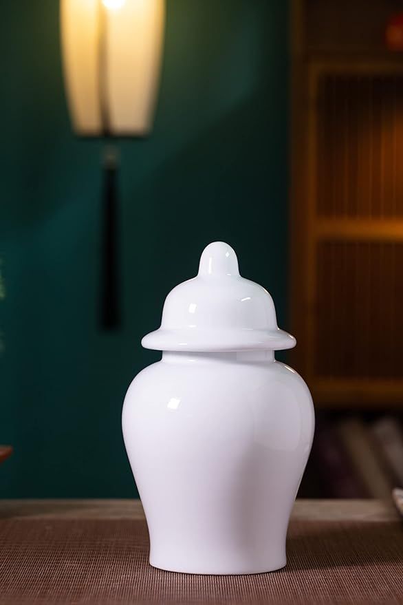 White Ceramic Porcelain Ginger Jars Egg-Shell Chinoiserie Home Decorative Modern Vintage Tall Lar... | Amazon (US)