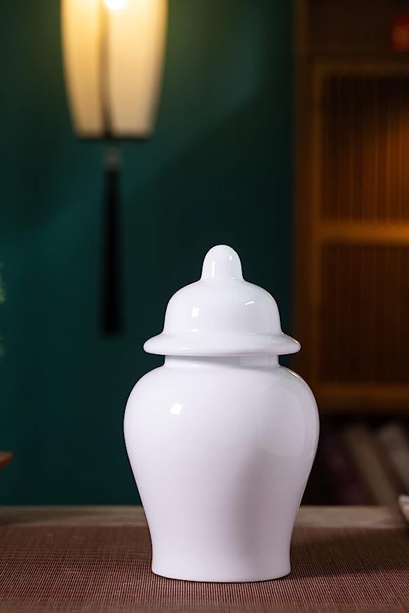 White Ceramic Porcelain Ginger Jars Egg-Shell Chinoiserie Home Decorative Modern Vintage Tall Lar... | Amazon (US)
