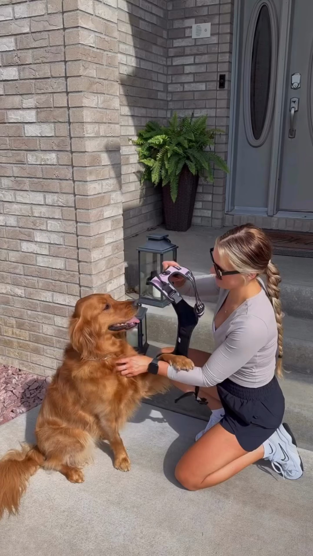 Rabbitgoo harness makes walks easy and more enjoyable. It’s secure breathable, and perfect for safe outdoor adventures.🐾

#LTKPets #LTKOver40 #LTKActive