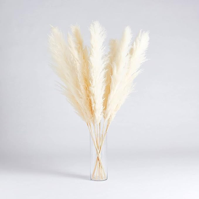 Perfect Pampas Luxury Pampas Grass Decor- 30 Stems, 18' Cocoa Brown Decor, Grass Decor for Home D... | Amazon (US)