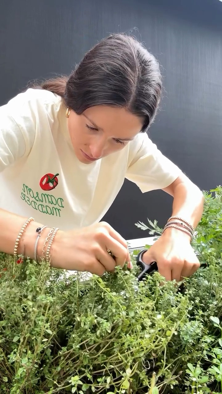 never not matching my outfit to the meal 🍅👩🏻‍🍳

#privatechef #dayinthelife #ditl #cheflife #herbgarden #herbs #foodprep #lbiprivatechef #lbi #longbeachisland

#LTKStyleTip #LTKSeasonal #LTKFindsUnder100