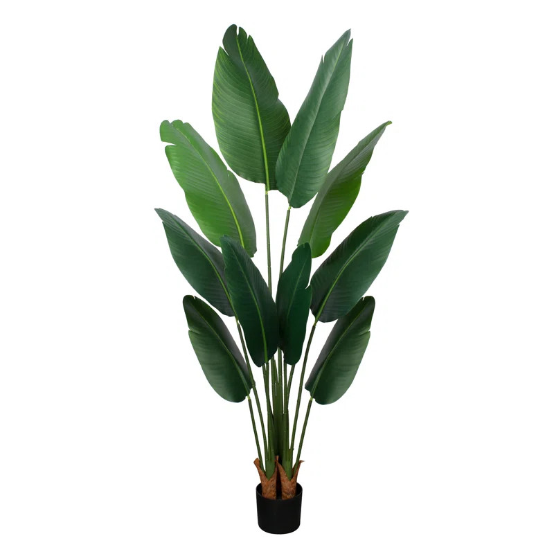 Oakgrove Faux Banana Leaf Tree in Black Plastic Pot | Wayfair North America