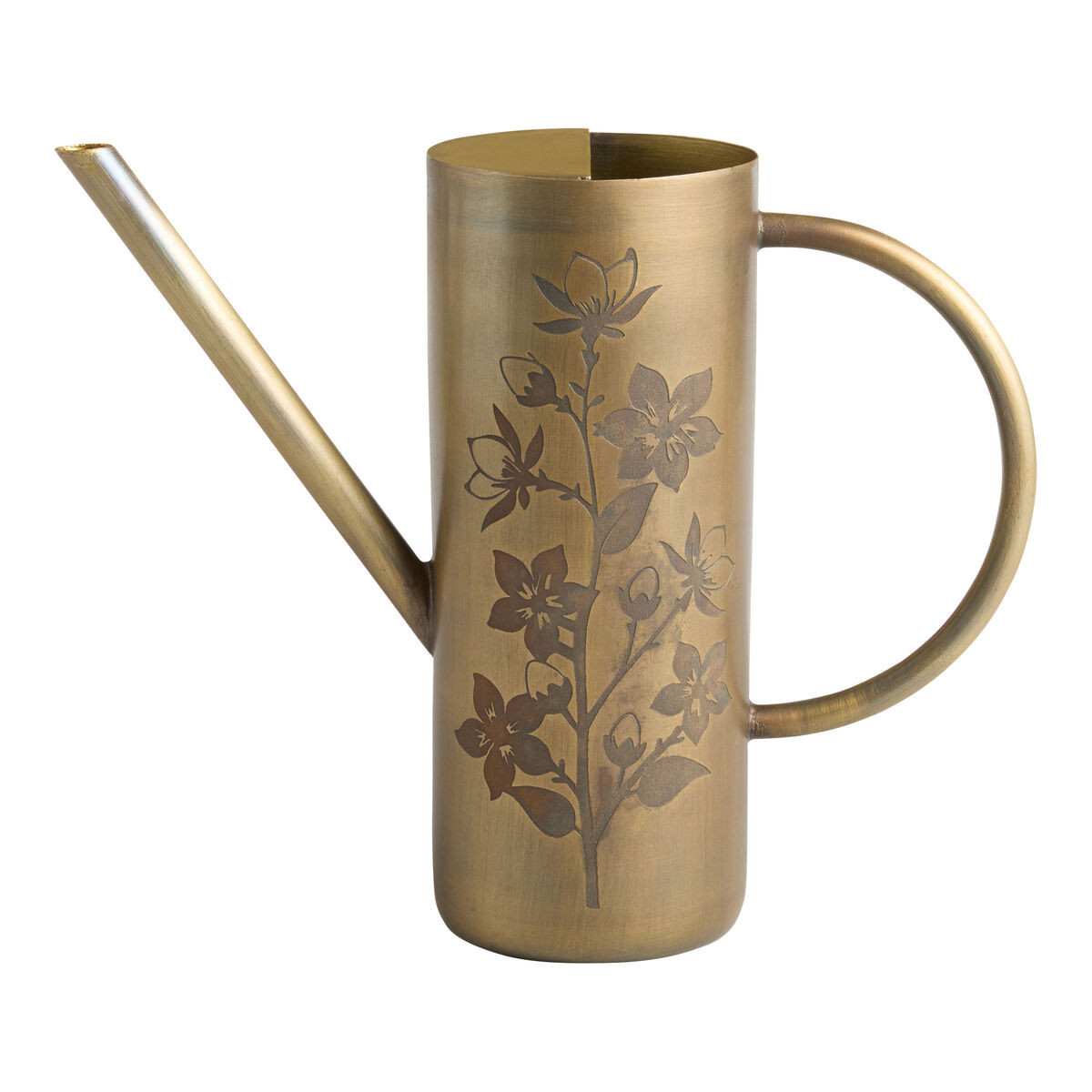 Antique Brass Etched Floral Watering Can in Yellow by World Market | World Market