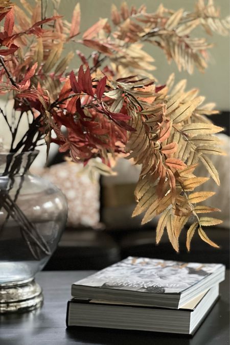 These sumac branches really bring autumn indoors. I absolutely love the seasonal tones — the rich, yet muted colors work so well with the aesthetic of my home! They’re perfect for the #LTKFall season and all of the holidays. 🍂🍁

#LTKSeasonal #LTKhome