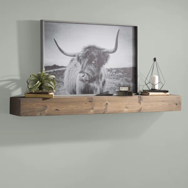Alistair Fireplace Shelf Mantel | Wayfair North America