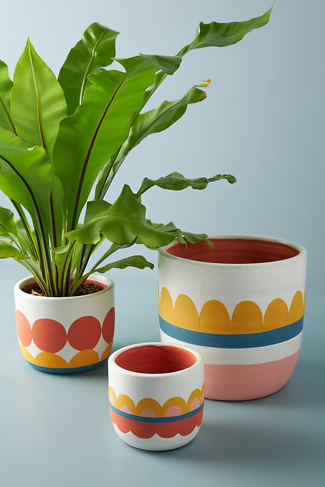 Arizona Pot | Anthropologie (US)