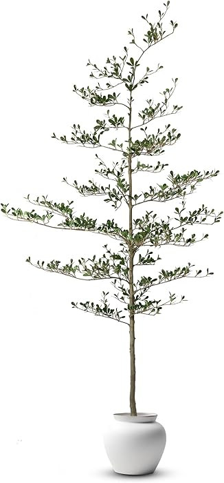 Everleaf - 7.2FT Black Olive Tree Artificial - Indoor Tall Faux Shady Lady with Black Base Pot, R... | Amazon (US)