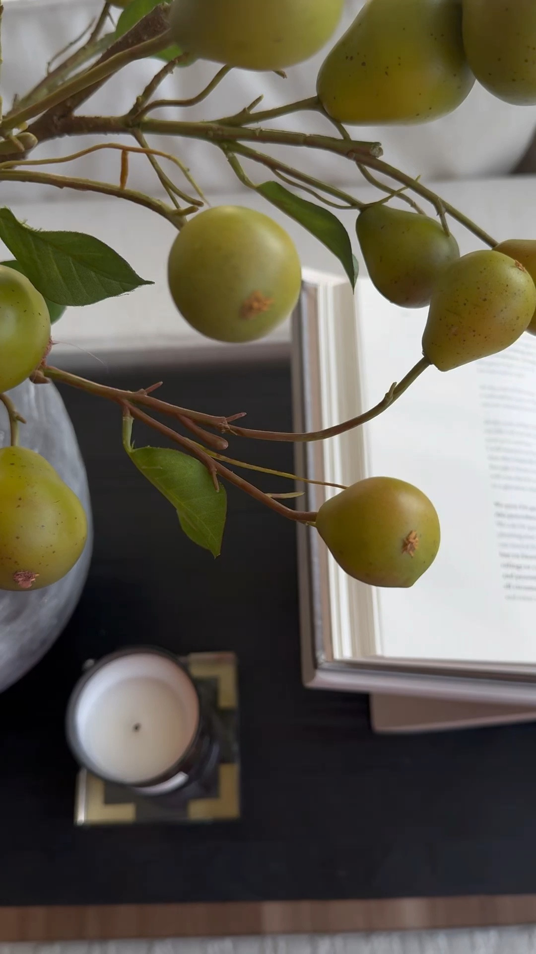 Stunning pear stems🫶🏼


Fall decor, autumn decor, faux flowers, organic modern

#LTKHome #LTKFindsUnder50 #LTKStyleTip